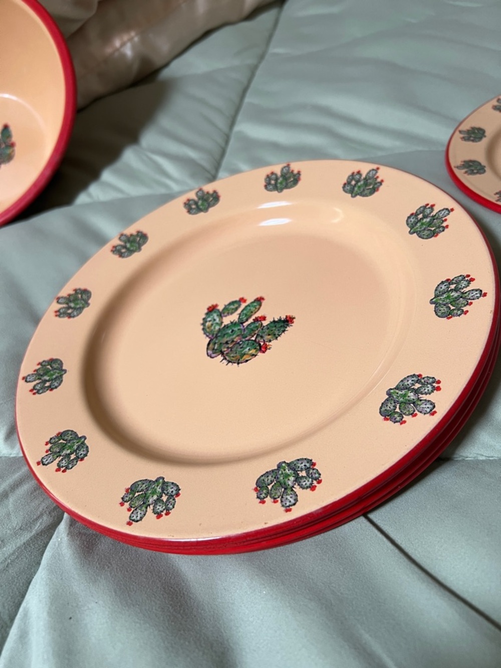 Marble Canyon Cactus Design Dinnerware